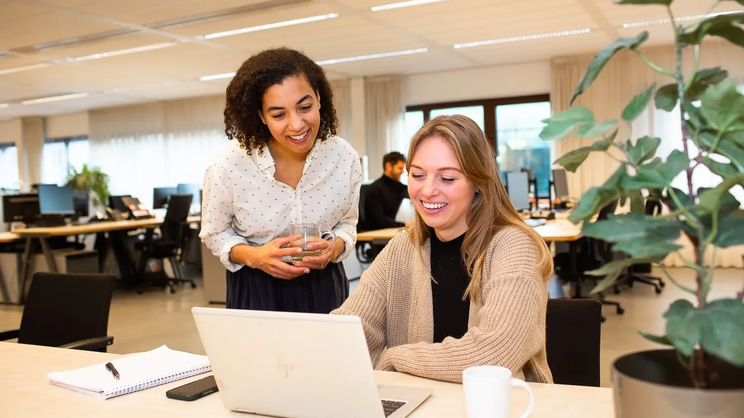 Human Capital Group werknemers aan het werk achter een laptop