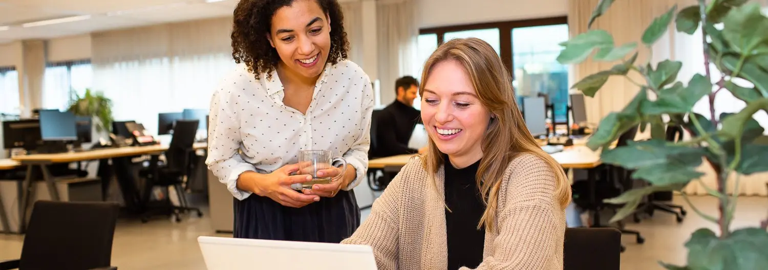 Human Capital Group werknemers aan het werk achter een laptop